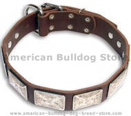 Exquisite American Bulldog Collar Decorated with Silver Color Plates
