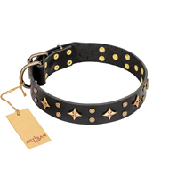'A La Mode' FDT Artisan Handcrafted Black Leather American Bulldog Collar