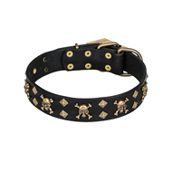 'Jolly Rojer' FDT Artisan American Bulldog Leather Dog Collar with Pirate Skulls and Studs - 1 1/2 inch (40 mm) wide