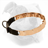 19 Inch American Bulldog Pinch Prong Collar Made of Curogan