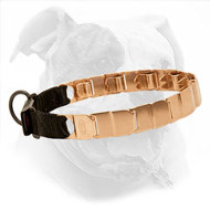 24 Inch New Curogan Prong Neck Teck Collar for American Bulldog