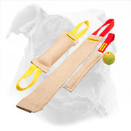 Set of Jute Bite Tugs for American Bulldog Puppy + Training Toy for Free
