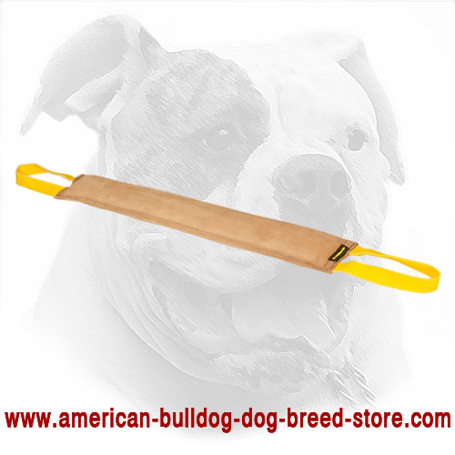 Durable Leather Dog Bite Tug for American Bulldog