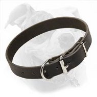Light and Super Comfortable Leather Collar to Train or Walk Your American Bulldog