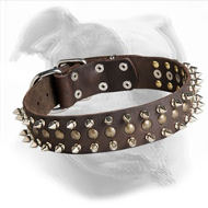 "Perfect Look" with this Leather American Bulldog Collar