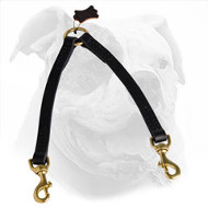 Leather American Bulldog Coupler