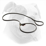 Leather American Bulldog Leash with Choke Collar Combo
