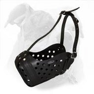 Extremely Comfortable Leather Muzzle for Agitation Training of Your American Bulldog
