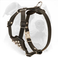 Studded Leather Puppy Harness for American Bulldog