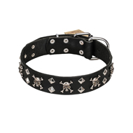FDT Artisan 'Rock 'n' Roll Style' Fancy Leather American Bulldog Collar with Skulls, Bones and Studs 1 1/2 inch (40 mm) wide
