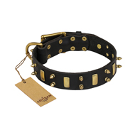 "Medieval Style" FDT Artisan Leather American Bulldog Collar with Brass Plates and Spikes