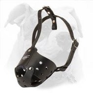 Strong, Safe and Maximally Comfortable Every Day Leather Muzzle for American Bulldog