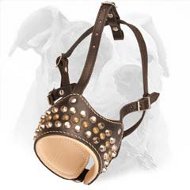 Perfect Air Flow Dog Muzzle with Decorative Pyramids and Studs for American Bulldog