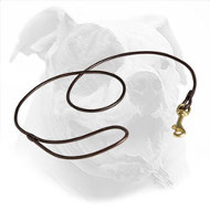 Show Leather Dog Leash for American Bulldog