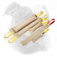 American Bulldog Training Set of Bite Tugs + Present for Free