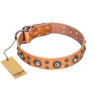 'Extra Sparkle' FDT Artisan Handcrafted American Bulldog Tan Leather Dog Collar