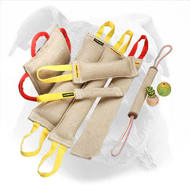 Ultimate American Bulldog Training Set with 3 Gifts for Free