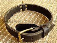 Two-Ply Leather Dog Collar for American Bulldog Agitation Training and Walking