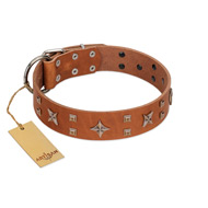 "Dreamy Gleam" FDT Artisan Tan Leather American Bulldog Collar Adorned with Stars and Squares