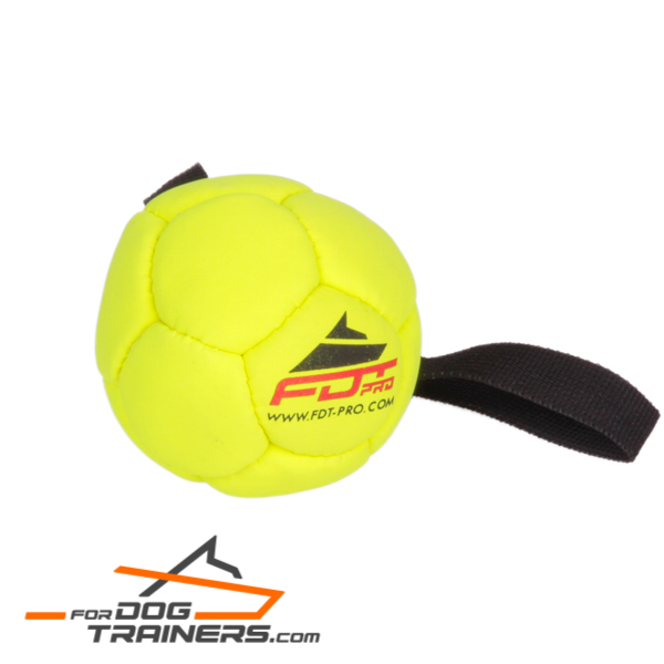 Amazing Dog Ball for training 