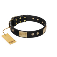 "Antique Gloss" FDT Artisan Black Leather American Bulldog Collar with Bronze-like Plates and Small Studs
