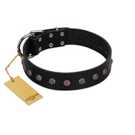 "Flower Rhapsody" FDT Artisan Premium Quaulity Black Leather American Bulldog Collar