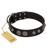 "Tricky Ricky" FDT Artisan Black Leather American Bulldog Collar Adorned with Silver-Like Conchos