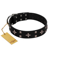 "Snappy Dresser" FDT Artisan Black Leather American Bulldog Collar Adorned with Stars and Tiny Squares