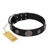 "Ad Infinitum" Durable FDT Artisan Black Leather American Bulldog Collar with Chrome Plated Brooches