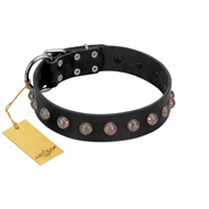 "Bizarre Affection" Designer Handmade FDT Artisan Black Leather American Bulldog Collar