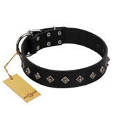 "Immense Power" Handcrafted FDT Artisan Black Leather American Bulldog Collar with Small Dotted Pyramids