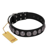 "Black Raven" Handmade FDT Artisan Black Leather American Bulldog Collar with Silver-Like Adornments