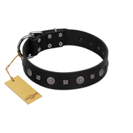 "Mr. Elegance" Designer FDT Artisan Black Leather American Bulldog Collar with Silver-Like Studs