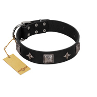 "Black Cavalier" Handmade FDT Artisan Black Leather American Bulldog Collar with Silver-Like Stars and Large Plates