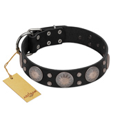 "Starry Sky" Trendy FDT Artisan Black Leather American Bulldog Collar with Large Brooches