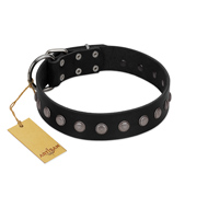 "Silver Flower" Exclusive FDT Artisan Black Leather American Bulldog Collar with Silver-Like Studs