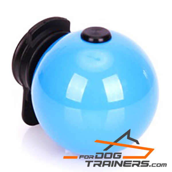 Blue dog ball for Training