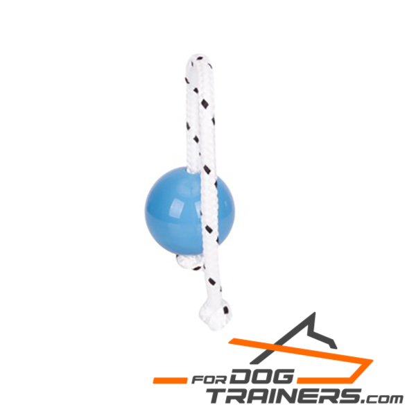 Blue ball for fun