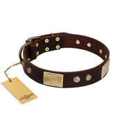 "Middle Age" FDT Artisan Brown Leather American Bulldog Collar with Old Bronze-Plated Engraved Flowers and Large Plates