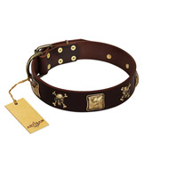 "Crazy Pirate" FDT Artisan Brown Leather American Bulldog Collar with Old Bronze-Plated Skulls and Plates