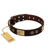 "Bow-Wow Effect" FDT Artisan Brown Leather American Bulldog Collar with Plates and Ornate Studs