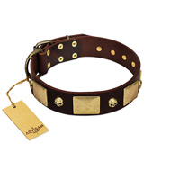"Heavy Metal" FDT Artisan Brown Leather American Bulldog Collar with Old Bronze-like Skulls and Plates
