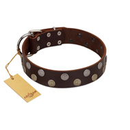 "Shadow Warrior" FDT Artisan Mystic Brown Leather American Bulldog Collar with Runes