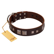 "Object of Virtu" FDT Artisan Brown Leather American Bulldog Collar with Old Silver-like Square Studs and Pyramids