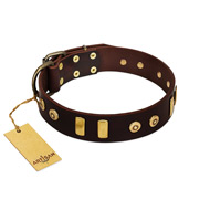 "Lord of Dogs" FDT Artisan Brown Leather American Bulldog Collar with Old Bronze-like Dotted Studs and Tiles