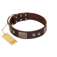 "Stone Stars" Stylish Handmade FDT Artisan Brown Leather American Bulldog Collar