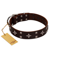 "Trendy Candy" FDT Artisan Brown Leather American Bulldog Collar Adorned with Stars and Tiny Squares