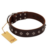 "Boundless Energy" Premium Quality FDT Artisan Brown Designer Leather American Bulldog Collar with Small Pyramids