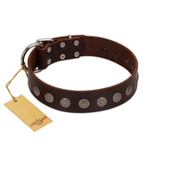"Starry-Eyed" Best Quality FDT Artisan Brown Designer Leather American Bulldog Collar with Small Plates