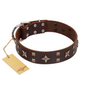 "Stars in Sands" Modern FDT Artisan Brown Leather American Bulldog Collar with Studs and Stars